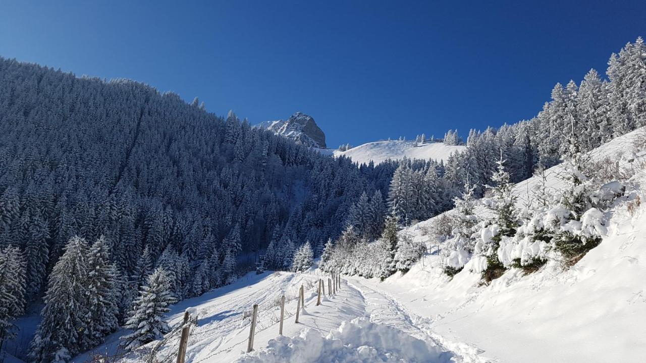 Charming Chalet With Panoramic View And Private Parking In Gruyere Gruyeres Extérieur photo