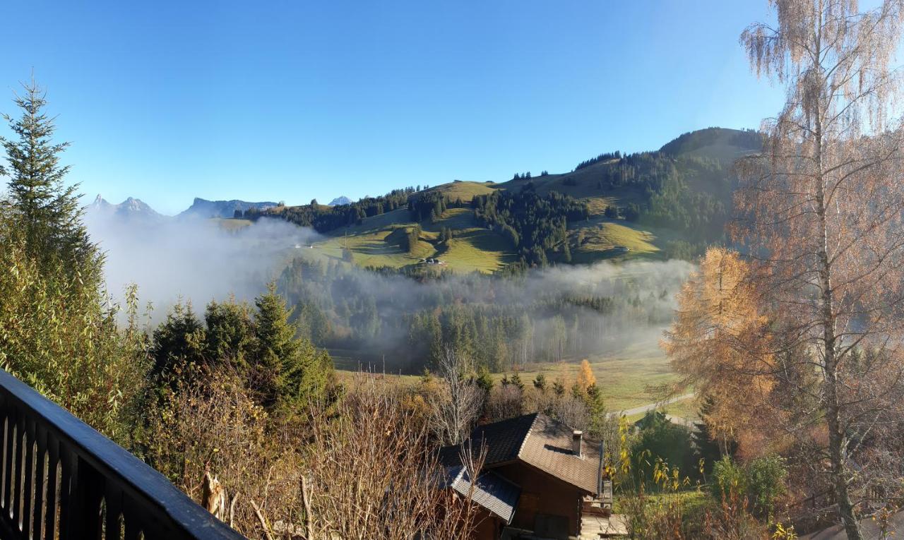 Charming Chalet With Panoramic View And Private Parking In Gruyere Gruyeres Extérieur photo